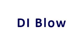 Blow D I (Opticians)